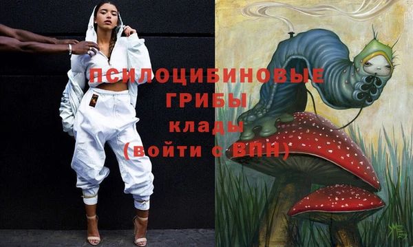 2c-b Лихославль