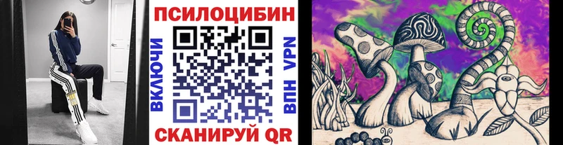 Псилоцибиновые грибы прущие грибы Циолковский