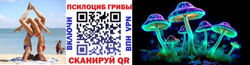 Галлюциногенные грибы Cubensis  Циолковский 